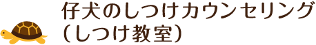 仔犬のしつけカウンセリング（しつけ教室）